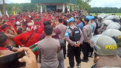 Wilmar Diberikan Waktu 30 hari Realisasikan Plasma