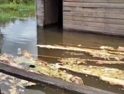 Desa di Kotim Mulai Dilanda Banjir