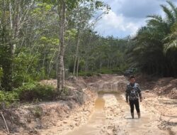Jalan Poros Dimentaya Hulu Rusak Parah