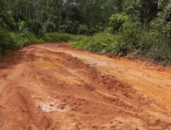 Warga Keluhkan Jalan poros Cempaka Mulia Timur ke Terantang Rusak Parah