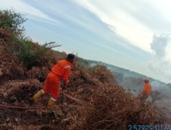 Puncak Musim Kemarau di Kalteng Diprediksi Juli Hingga September, BMKG Palangka Raya Sebut Pengaruh El Nino