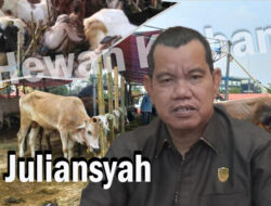 Sapi Kurban Harus Sehat