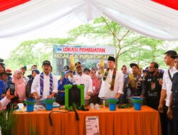 Antisipasi Krisis Pangan, Mentan SYL Dorong Pengembangan Budidaya Sorgum di Pangkep