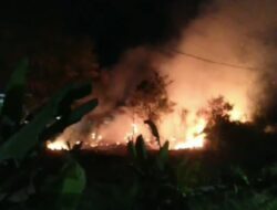 Api Mengamuk di Lahan Pemukiman Warga