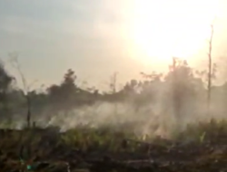Wajib Siaga Kebakaran Lahan Mulai Terjadi di Kotim