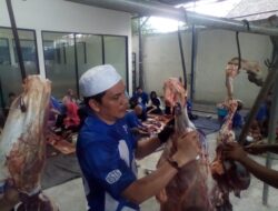 Berkurban 12 Ekor Sapi, DPW PAN Kalteng Bagikan Seribu Kupon ke Masyarakat
