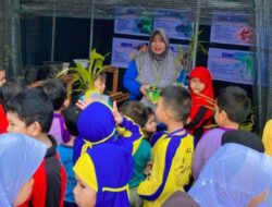 SDN 4 Ketapang Bertekad Hidup Sehat dengan Berkebun TOGA