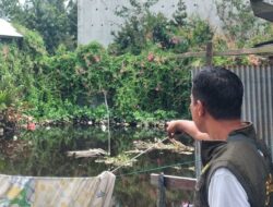 BKSDA Pos Sampit Turun Lapangan Pasca Kemunculan Buaya di Sungai Mentawa