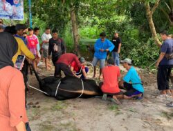 CEO Klinik Bisnis Bagikan 3.000 Bungkus Daging Kurban