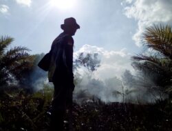 Karhutla Kalteng Capai 3 Ribu Hektar Lebih, Ulah Oknum Tidak Bertanggung Jawab