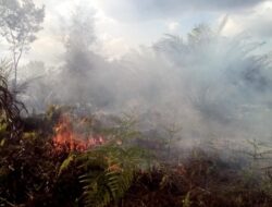 BPB-PK Kalteng Sebut Ada 7 Tersangka Pembakar Lahan, Rerata Perorangan
