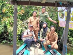Tim BKSDA Pos Sampit Cek Lokasi Kemunculan Buaya, Ini Hasilnya…