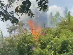 Ratusan Hektar Lahan di Kotim Terbakar