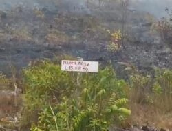 Duh! Dilokasi Karhutla Banyak Plang Nama Pemilik Lahan