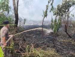 Belasan Hektar Lahan Sawit di Desa Sei Ijum Raya Ikut Terbakar, Kades Mengaku Sulit Tidur Malam
