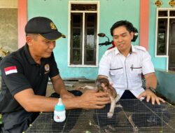 Warga Lampuyang Selamatkan Seekor Bayi Bekantan, Ini Yang Dilakukan BKSDA