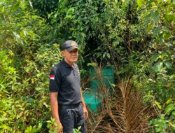 Perangkap Beruang di Desa Bagendang Hulu Hasilnya Nihil