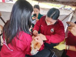 Warga Palangka Raya Was-was Virus Rabies, 5 Kasus Serang Kucing dan Anjing