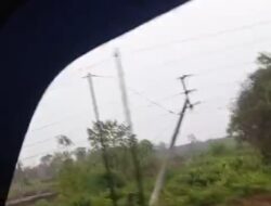 Sekitar 10 Tiang listrik Roboh, Listrik di KM 22 Mati Total