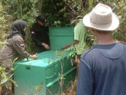 Lagi 3 Ekor Beruang Madu Terpantau di Desa Bagendang Hulu, BKSDA Pos Sampit Pasang Perangkap