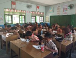 Sekolah Ini Sukses Tanam Pokcoy Dengan Sistem Hidroponik 