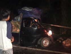 Kecelakaan Pick Up Pengangkut Kelapa di Sampit, Sopir Patah Tulang Kaki