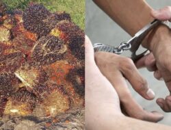 Polisi Amankan Warga Sungai Ubar Pencuri Sawit