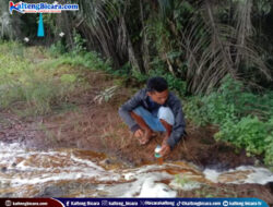Diduga Milik Petinggi Pusat, Pemerintah Dituding Tutup Mata Terkait Limbah  PT BUM di Kotim