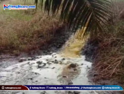 Diduga Limbah Pabrik PT BUM Bocor