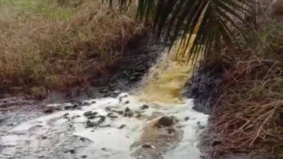 Diduga Limbah Pabrik PT BUM Bocor