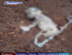 Astaga! Mayat Bayi Baru Lahir Ditemukan Dengan Tali Pusar, Kakinya Diduga Sengaja Dipotong dan Dibuang