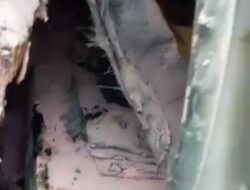 Minibus Yang Terbakar di Sampit Diduga Mobil  Pelangsir