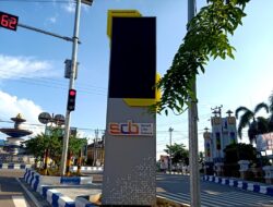 Diskominfosandi Barito Utara, OPD Yang Tangani Infrastruktur Digital Dalam Kota