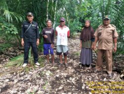 Warga Desa Seragam Jaya Masih Resah Terkait Keberadaan Orangutan yang Masih Berkeliaran