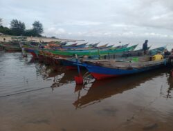 Kepiting Rajungan Ujung Pandaran Lebih Dinikmati Eksportir