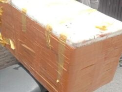 Heboh! Sebuah Kotak Misterius Berisi Ular Hidup Mengejutkan Warga