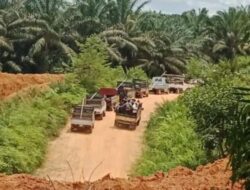 Begini Kata Aparat Terkait Pencegahan Penjarahan Massal Kebun Sawit di Kotim