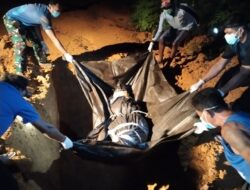Telah Dimakamkan, Mayat Mr. X Yang Ditemukan di Tumbang Sangai