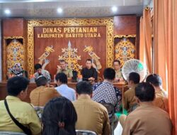 Program Tanam Jagung di Barito Utara Tahun 2024 Mencapai 9 Ribu Hektar