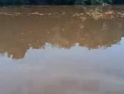 Waduh! Limbah CPO Cemari Sungai Mentaya, Diduga Berasal Dari PT BSP