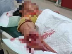 Disambar Buaya Saat Cuci Beras di Sungai, Seorang Wanita di  Desa Banggang Raya Kotim Selamat