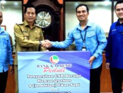 Pemkab Barut Terima 9 Ekor Sapi Qurban Dari PT Bank Kalteng Cabang Mtw