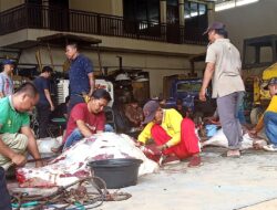 Dinas PUPR Barut Bagikan 9 Ekor Daging Hewan Qurban