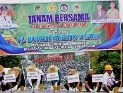 Dinas Pertanian Barut Tanam Cabe Besar Bersama Poktan Rindu Alam Desa Bayas