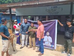 Ketua KNPI Barito Timur, Adi Garu, S.H, Serahkan 20 Sapi Kurban Dalam Momentum Hari Raya Idul Adha