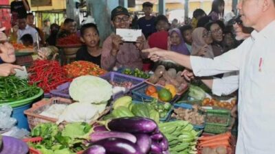 Jokowi Pantau Harga Sembako di Pasar PPM dan Tinjau Bantuan Pompanisasi Petani