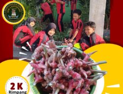 Ketika SDN 4 Ketapang Sampit Gelar Bazar Lengkuas : Meriah Dan Edukatif