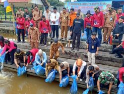 Dinas KPP Barut Restoking Benih Ikan di DAM Trinsing