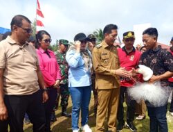 74 Ribu Bibit Ikan di Restoking di Perairan Umum DAM Trinsing