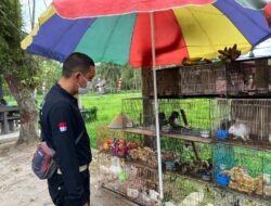 Kunjungi Kios Burung, Ini yang Disampaikan BKSDA Sampit Kepada Penjual